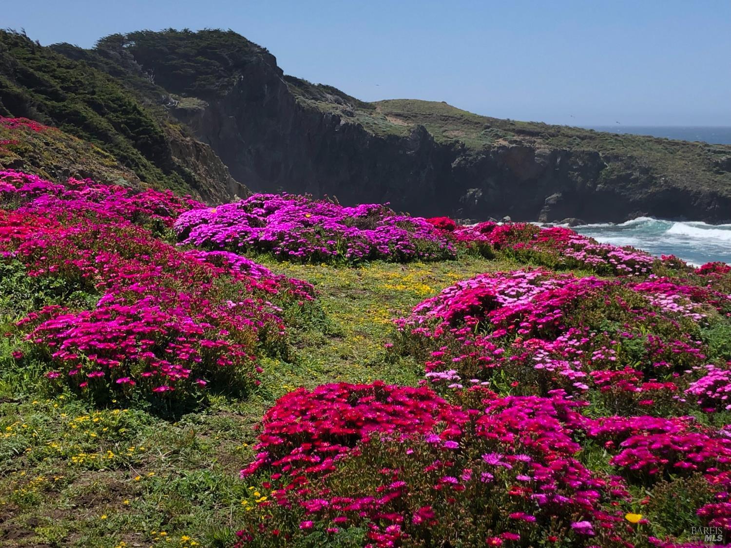 41569 Hatch Way The Sea Ranch, CA 95497 - Photo 45 of 52