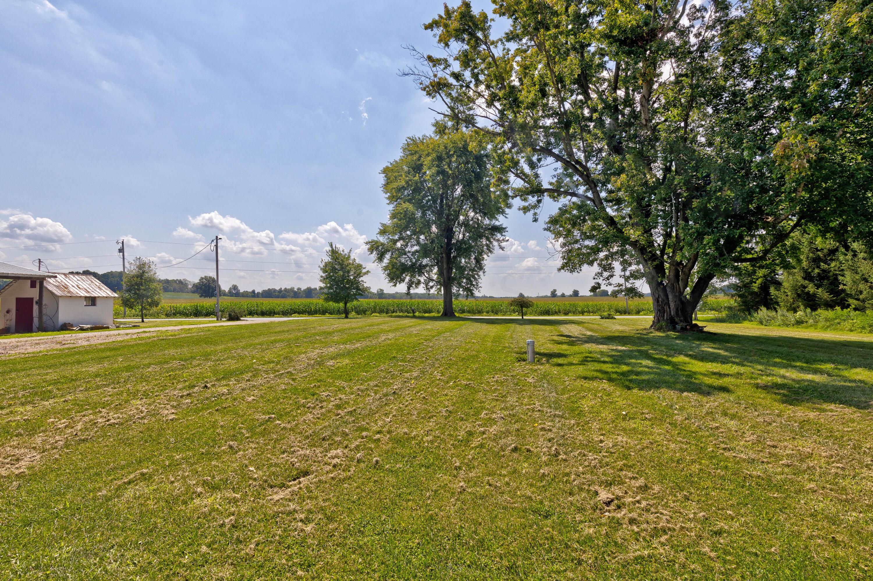 16347 Murphy Road Sunbury, OH 43074 - Photo 66 of 74 63. Side Yard