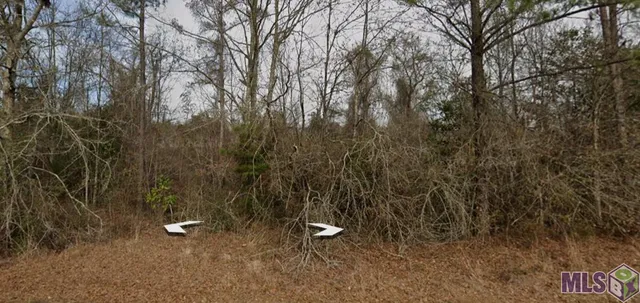 $15,000 | 30227 Jericho Drive, Albany, LA 70711