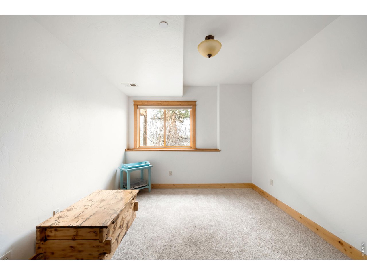 229 Mohawk Trail Pine, CO 80470 - Photo 33 of 41