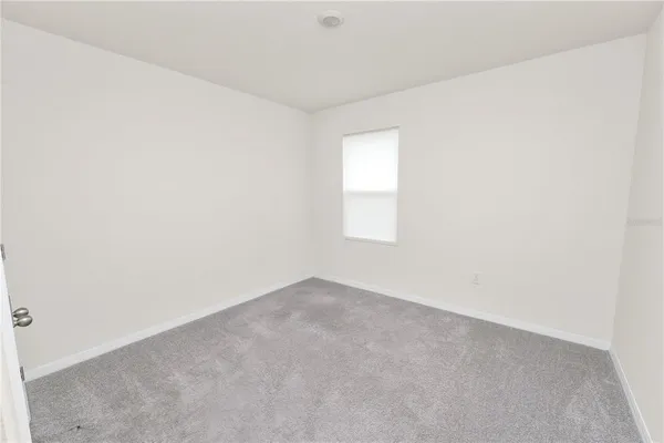 a bathroom with a shower and a toilet