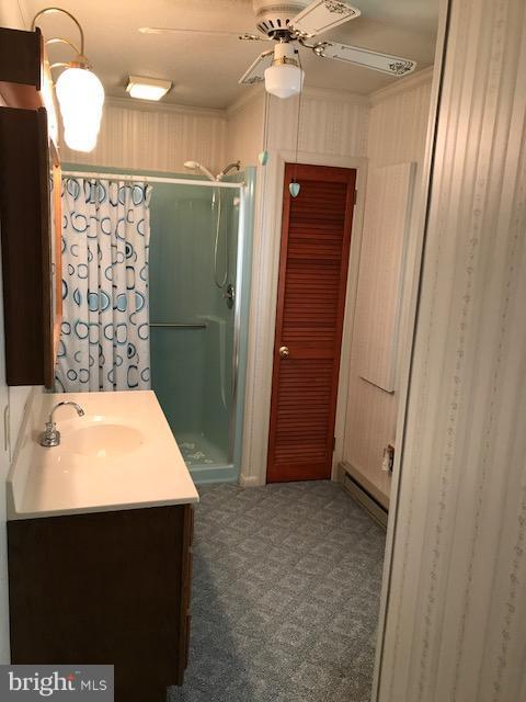 212 Deep Shore Road Denton, MD 21629 - Photo 17 of 20 Bath (Master)