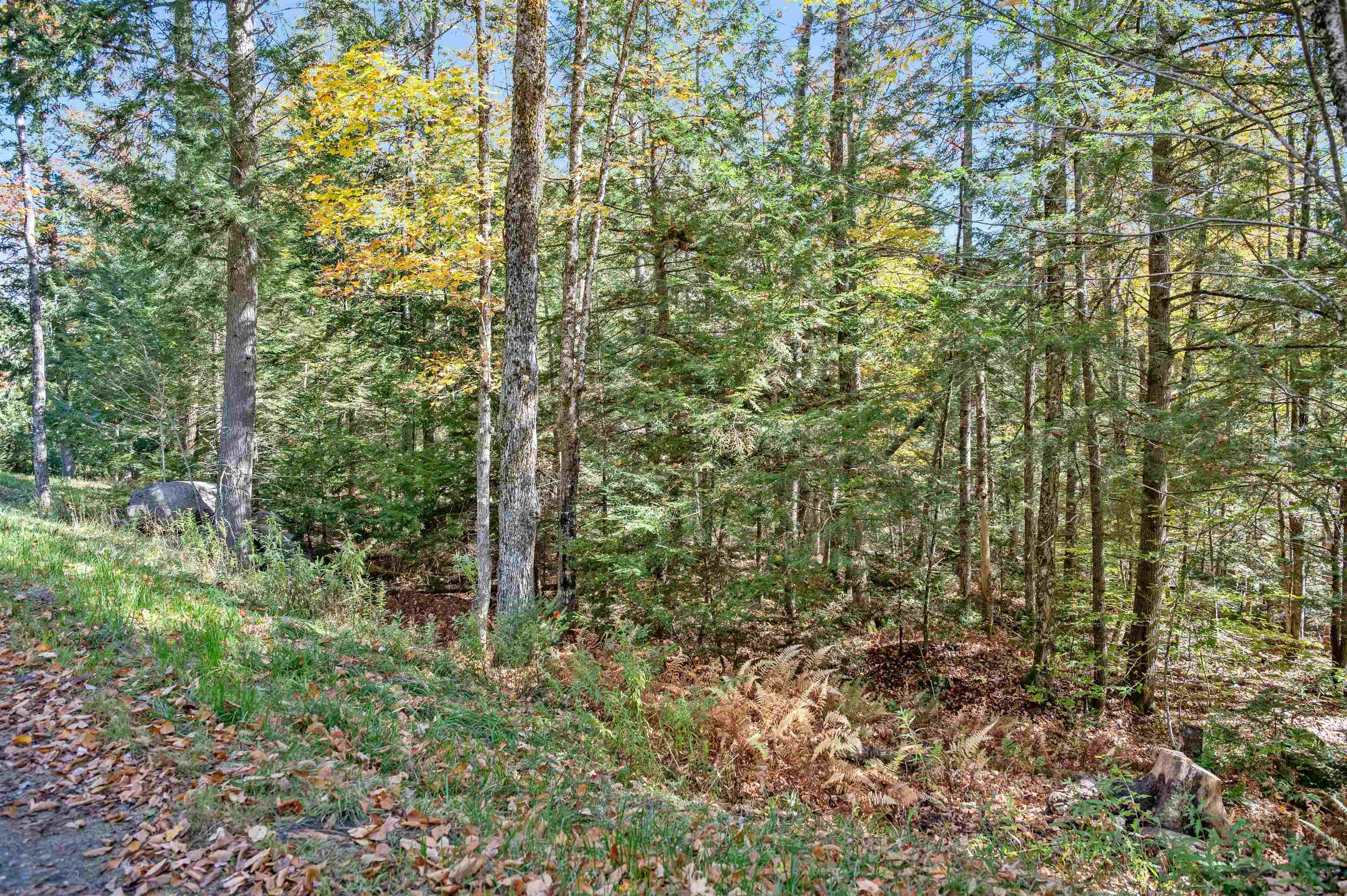 442 Vt Rte 12, Unit 2 Barre, VT 05641 - Photo 11 of 21