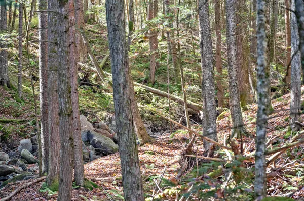 $139,500 | 442 Vt Rte 12, Unit 2, Barre, VT 05641