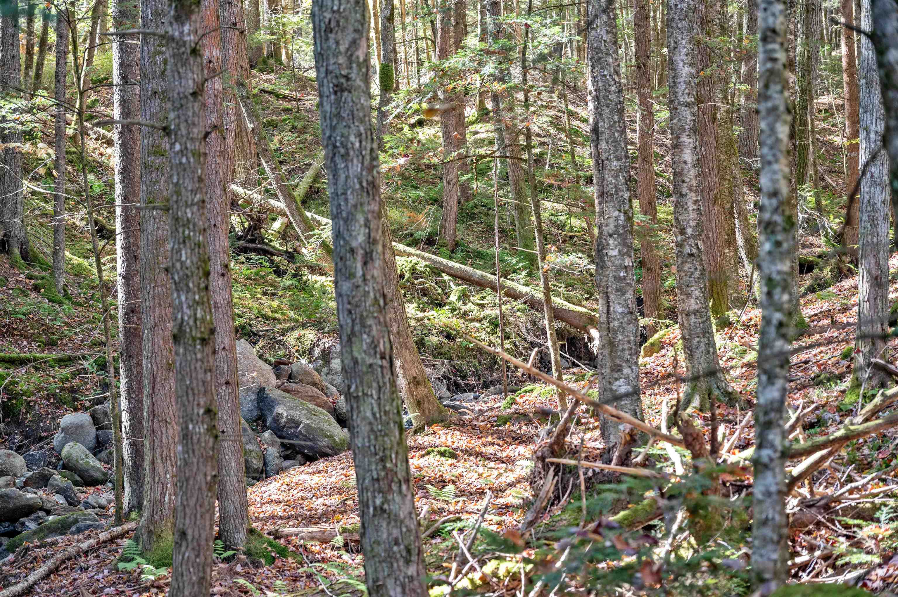 442 Vt Rte 12, Unit 2 Barre, VT 05641 - Photo 14 of 21