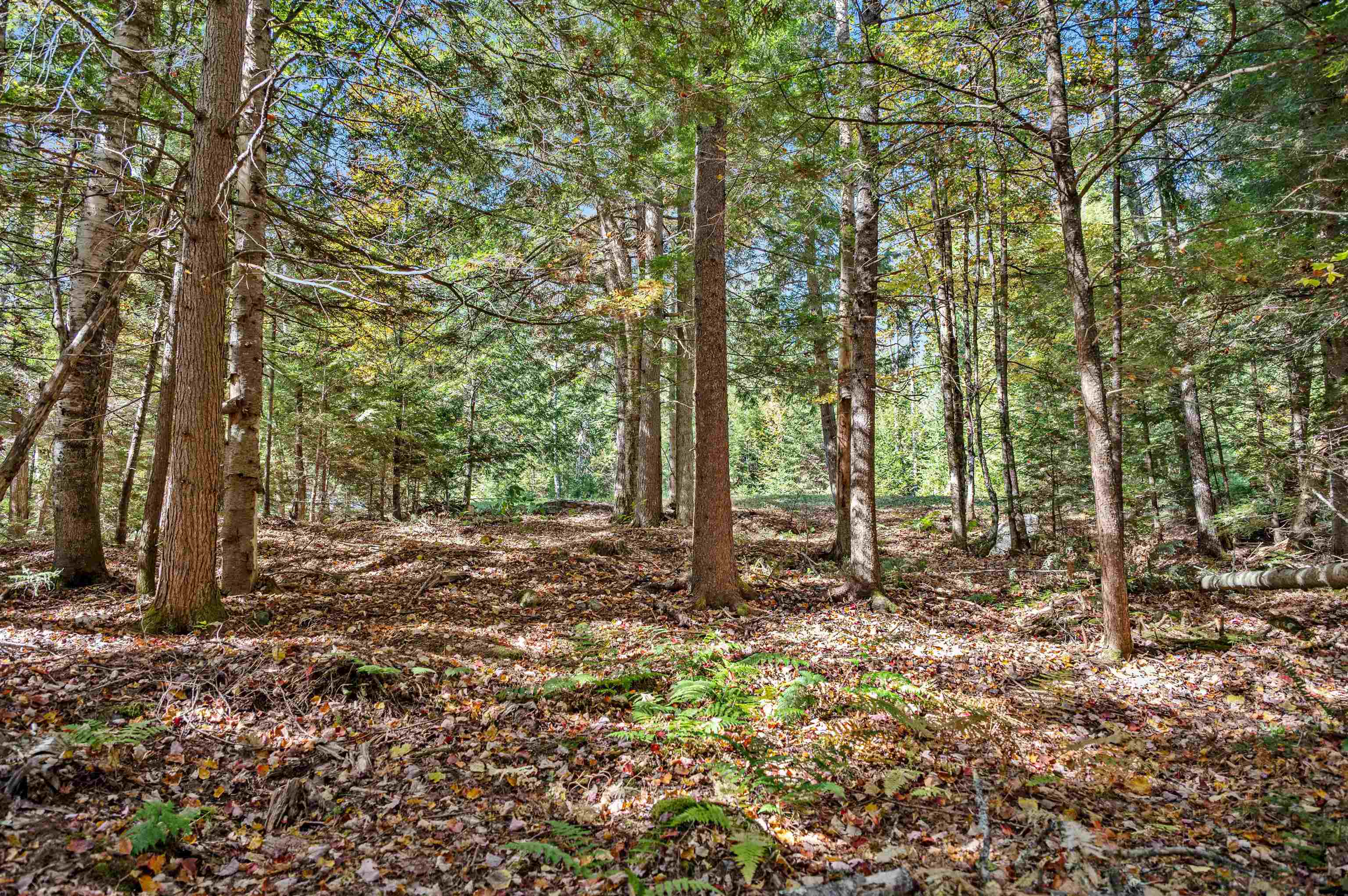 442 Vt Rte 12, Unit 2 Barre, VT 05641 - Photo 3 of 21