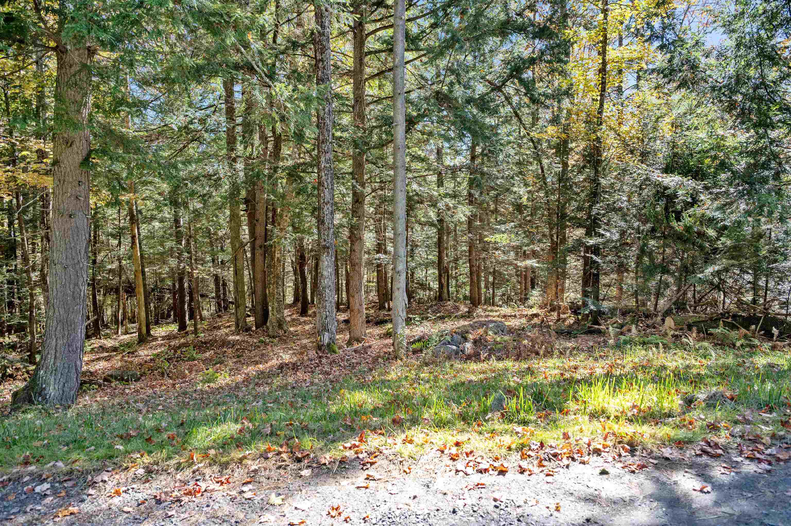 442 Vt Rte 12, Unit 2 Barre, VT 05641 - Photo 4 of 21