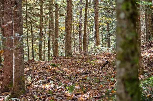 $139,500 | 442 Vt Rte 12, Unit 2, Barre, VT 05641