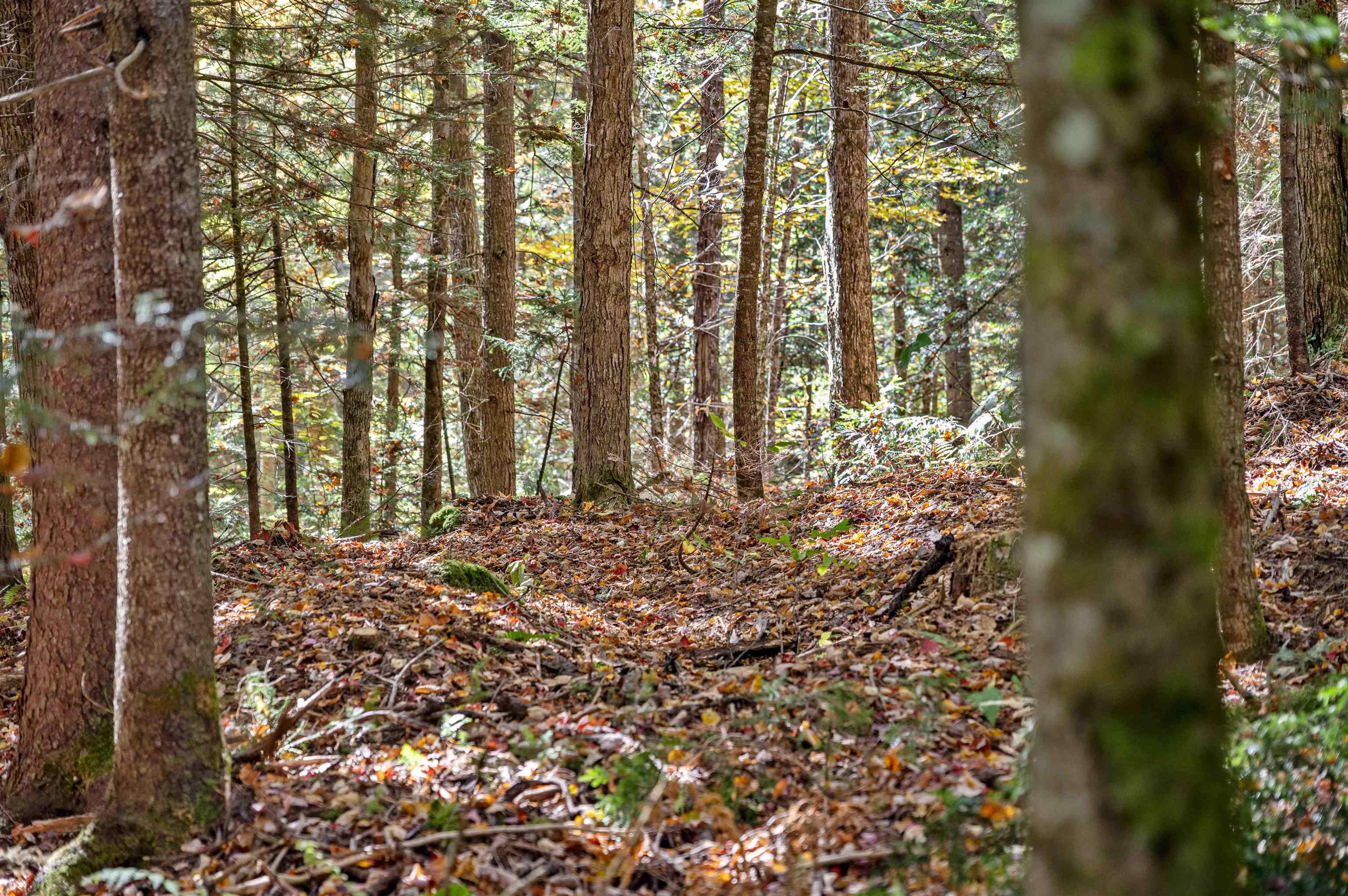 442 Vt Rte 12, Unit 2 Barre, VT 05641 - Photo 6 of 21