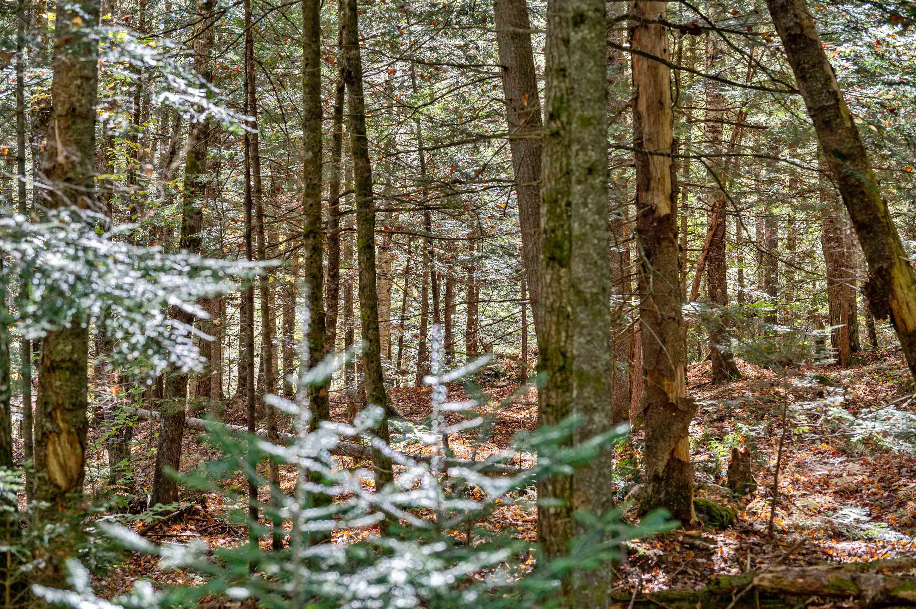 442 Vt Rte 12, Unit 2 Barre, VT 05641 - Photo 7 of 21