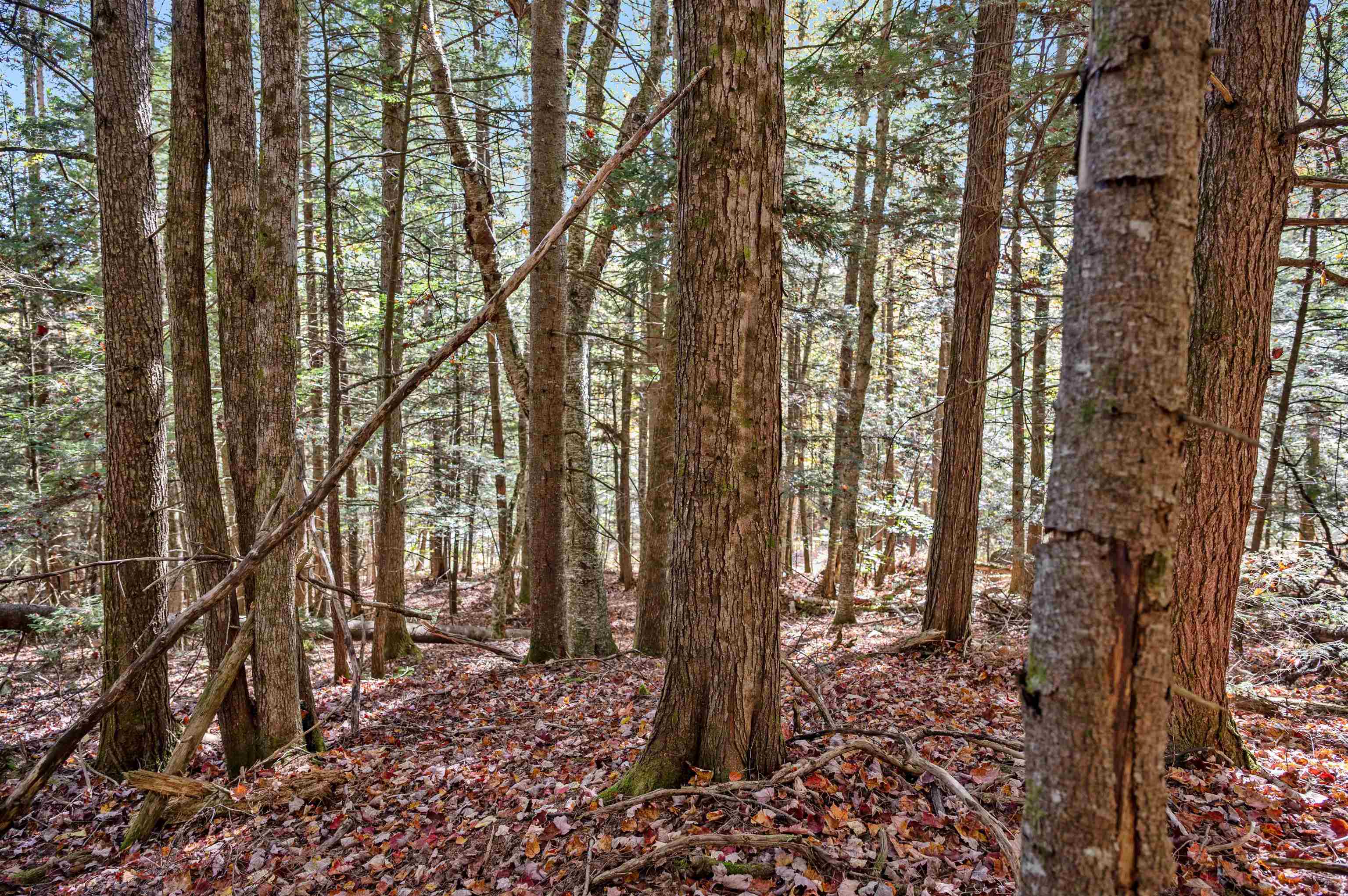 442 Vt Rte 12, Unit 2 Barre, VT 05641 - Photo 8 of 21