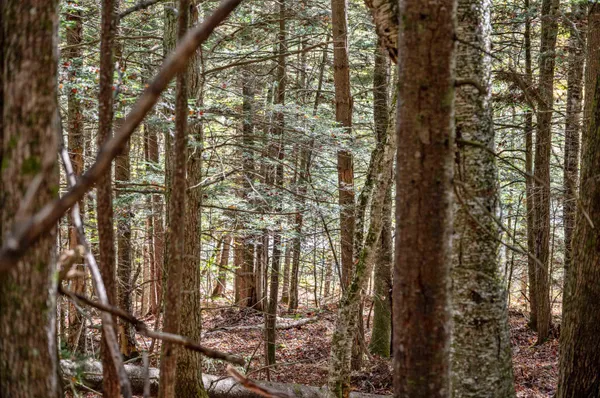 $139,500 | 442 Vt Rte 12, Unit 2, Barre, VT 05641