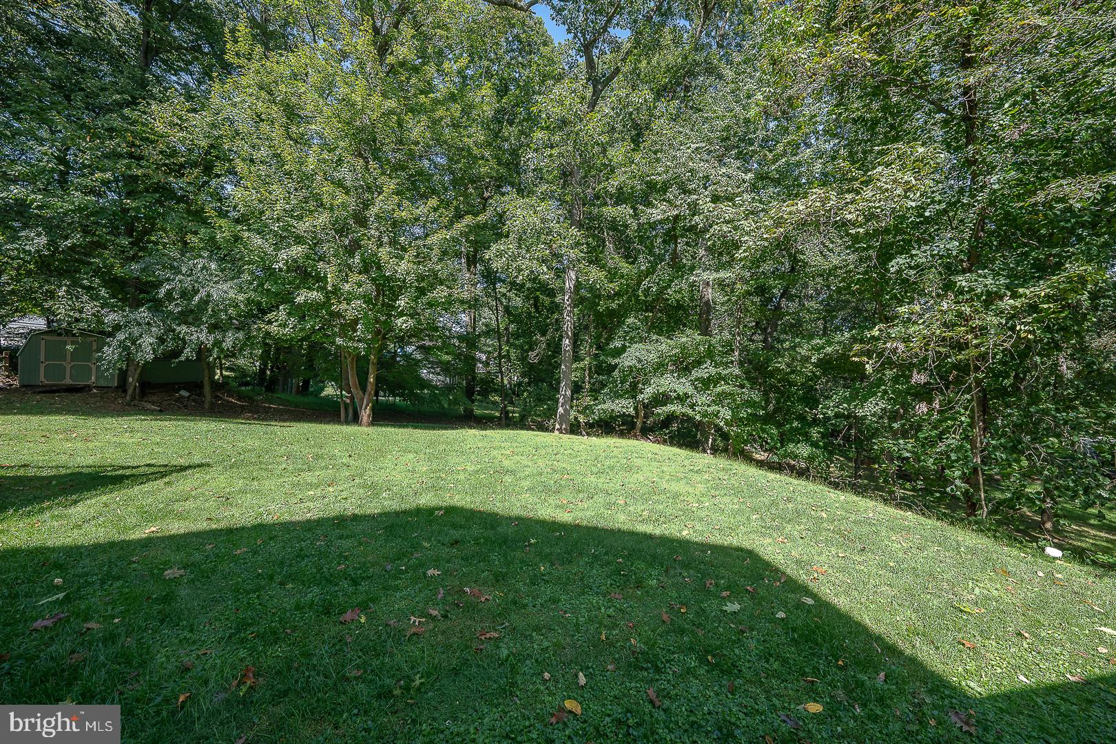 751 Red Oak Terrace Wayne, PA 19087 - Photo 24 of 41 Flat yard
