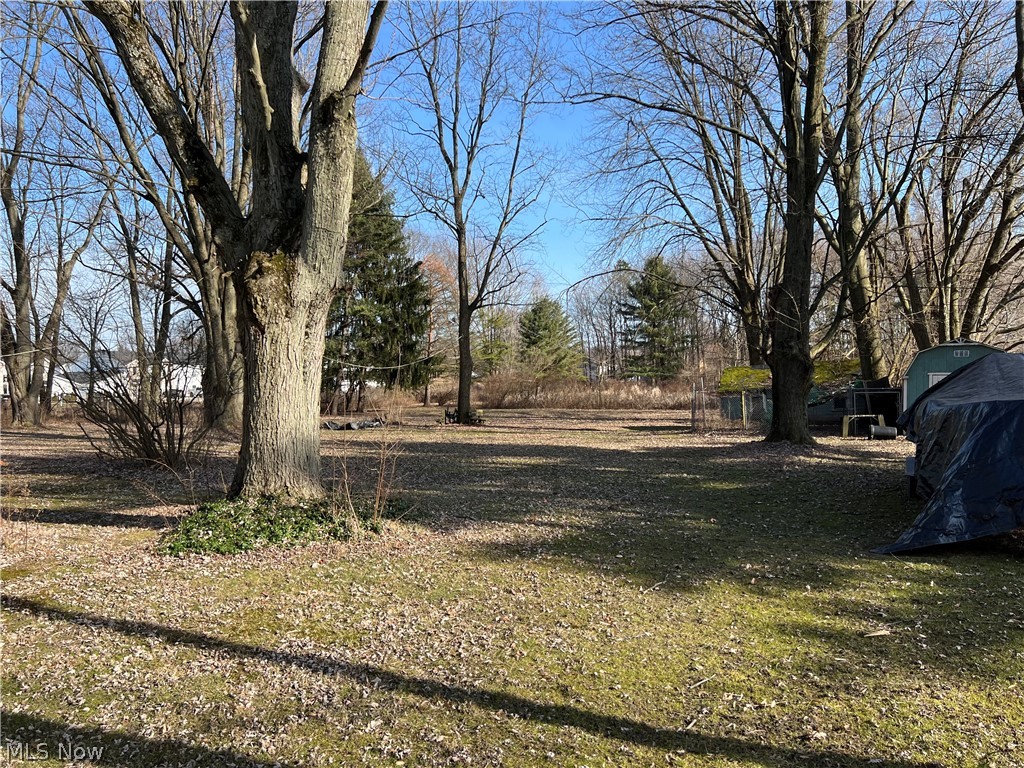 34551 Lorain Road North Ridgeville, OH 44039 - Photo 21 of 22 View of yard