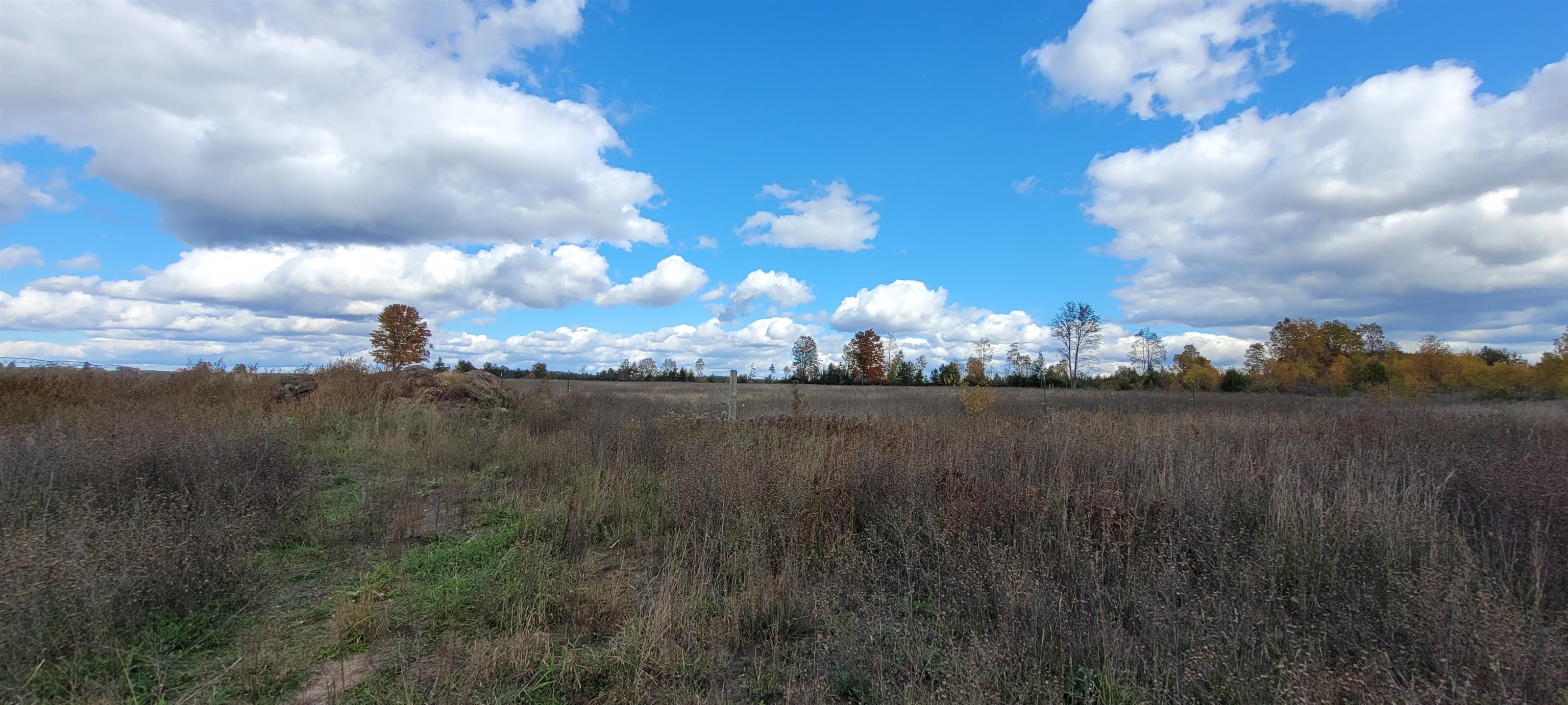 1703 Golden Road Southeast Kalkaska, MI 49646 - Photo 47 of 57 1906092-48.JPG