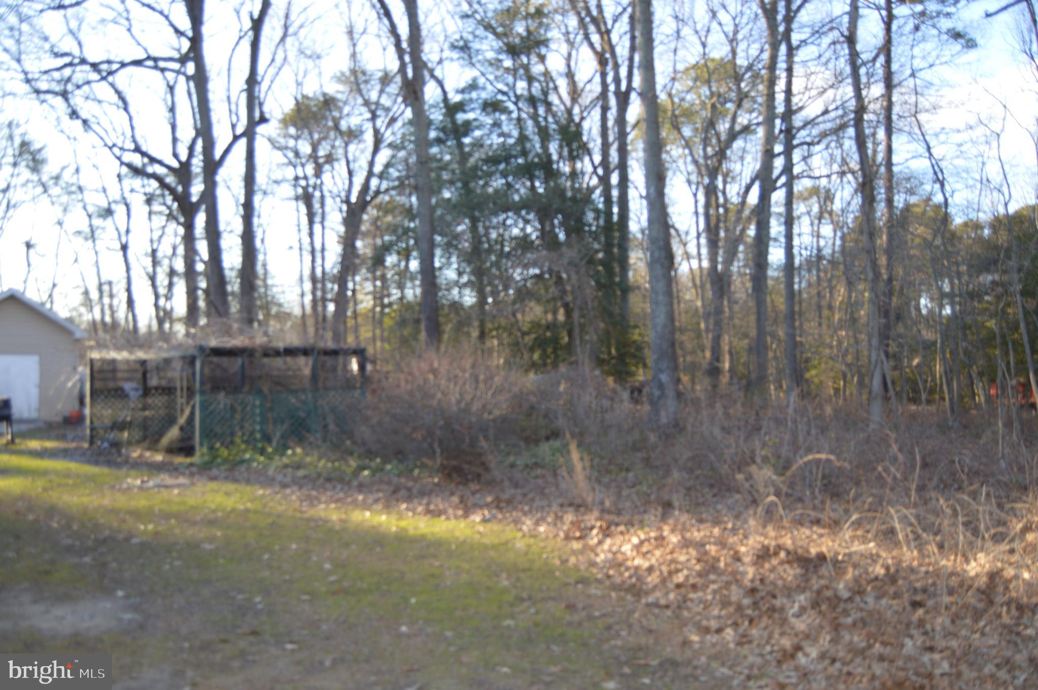 830 Swift Road Pasadena, MD 21122 - Photo 29 of 37 Rear Yard