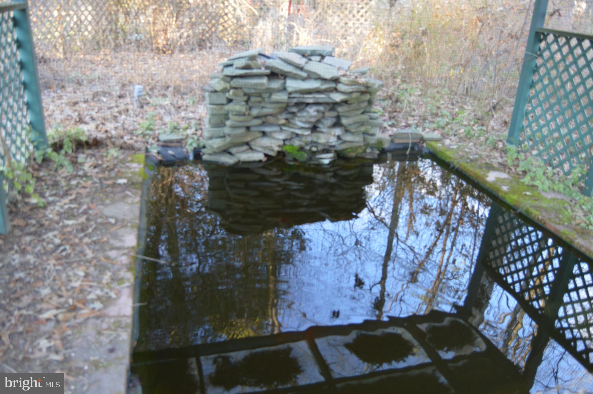 830 Swift Road Pasadena, MD 21122 - Photo 31 of 37 Koi Pond w/waterfall