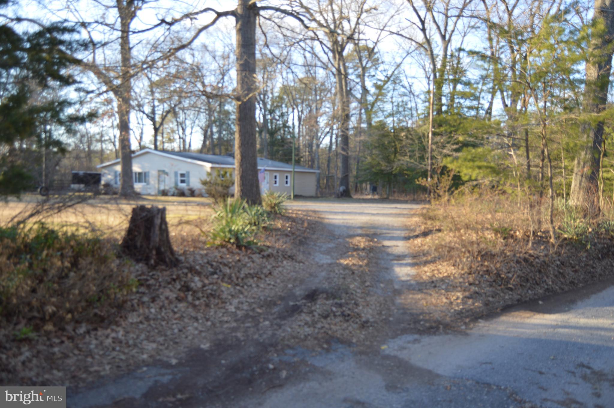 830 Swift Road Pasadena, MD 21122 - Photo 35 of 37 Driveway entry off George Ave.