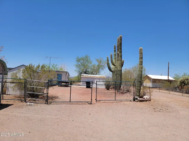 a view of a dry yard with trees