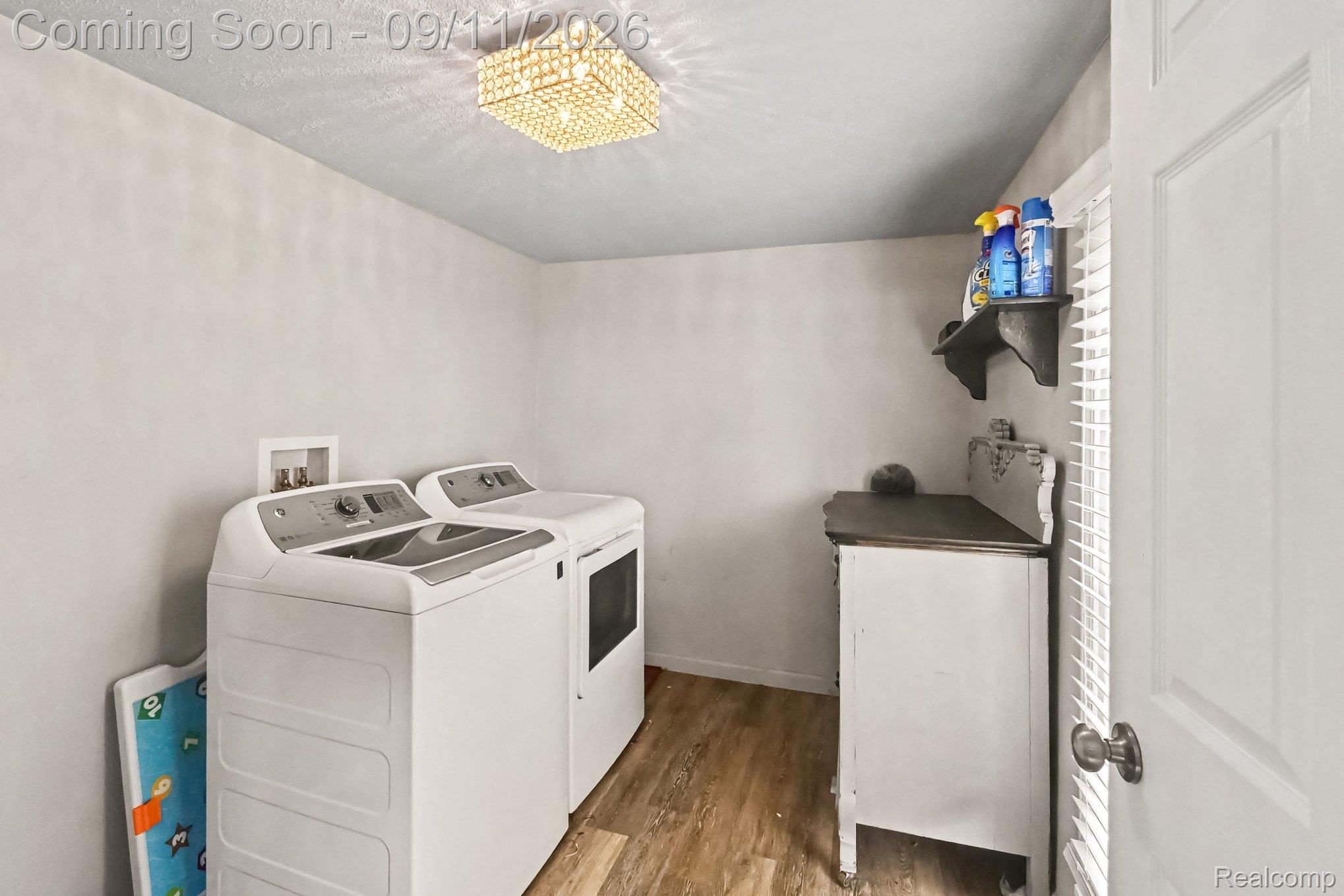 409 Fleming Street Howell, MI 48843 - Photo 20 of 25 Wood-finish flooring with a decorative flush mount light fixture