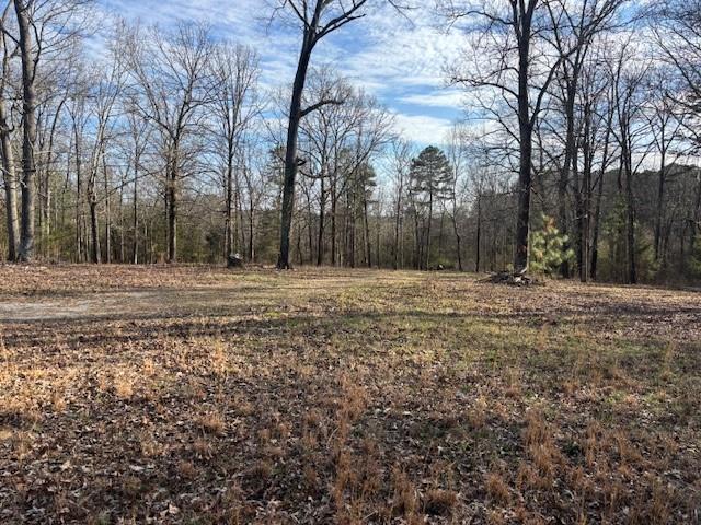 37 Davis Loop Kingston, GA 30145 - Photo 5 of 11
