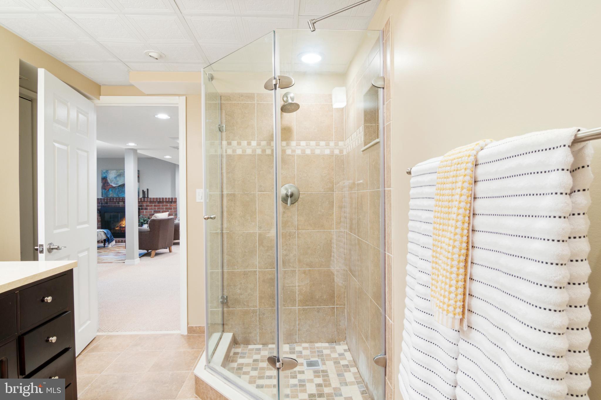 5409 Manorfield Road Rockville, MD 20853 - Photo 42 of 51 Bathroom 3 (lower level)