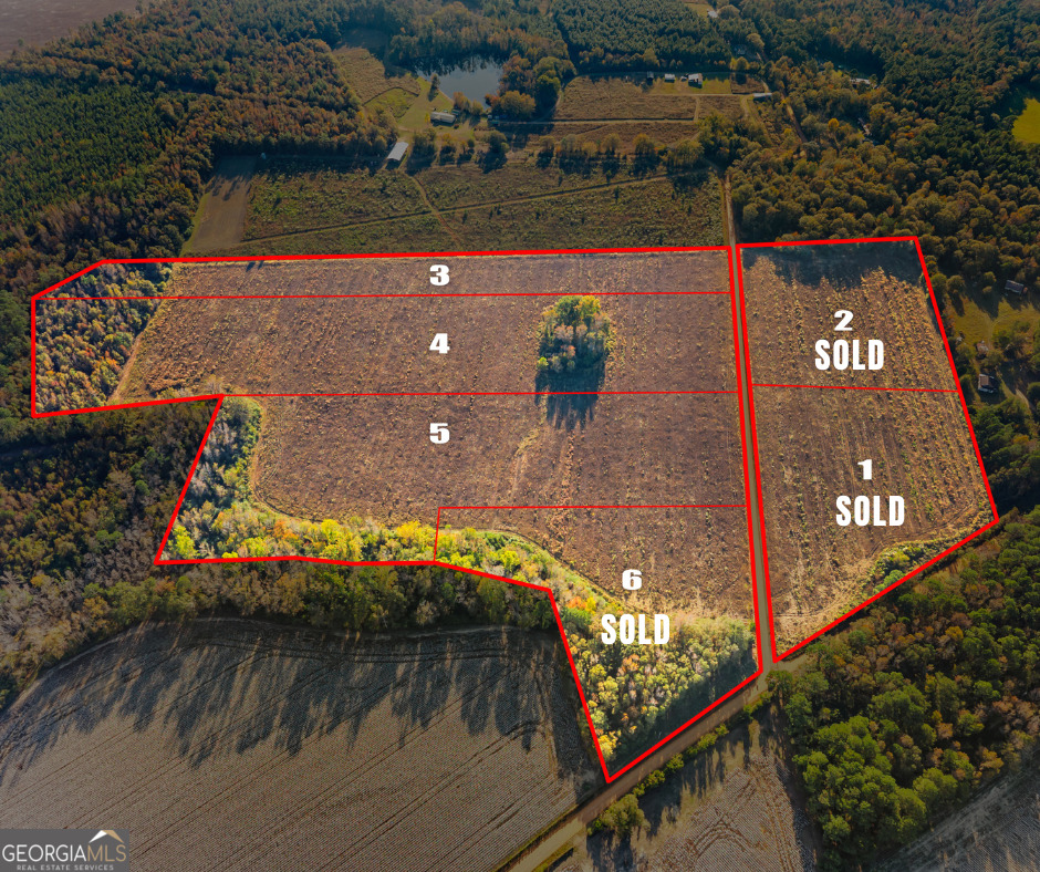 0 Waters Lane, Unit LOT 5 Claxton, GA 30417 - Photo 2 of 14