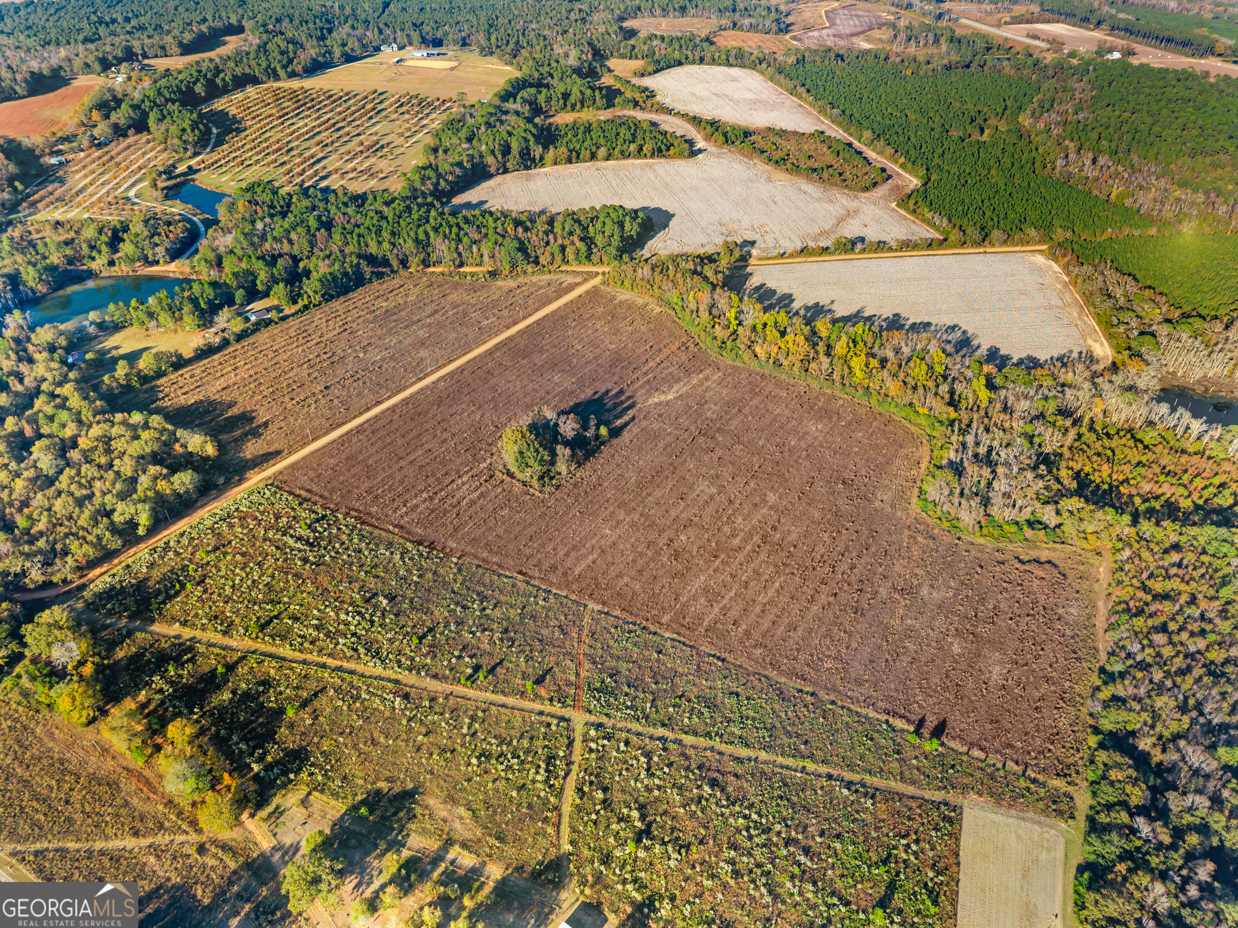 0 Waters Lane, Unit LOT 5 Claxton, GA 30417 - Photo 6 of 14 an aerial view of residential houses with outdoor space