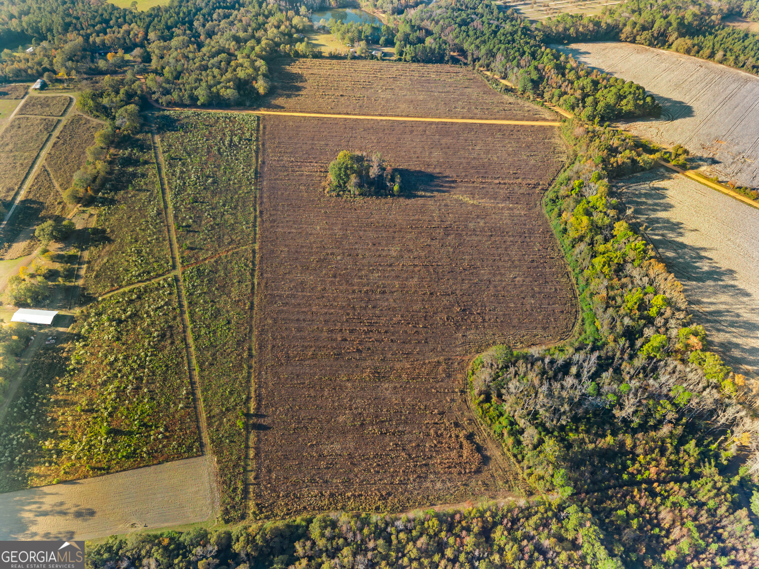 0 Waters Lane, Unit LOT 5 Claxton, GA 30417 - Photo 7 of 14 a view of wall