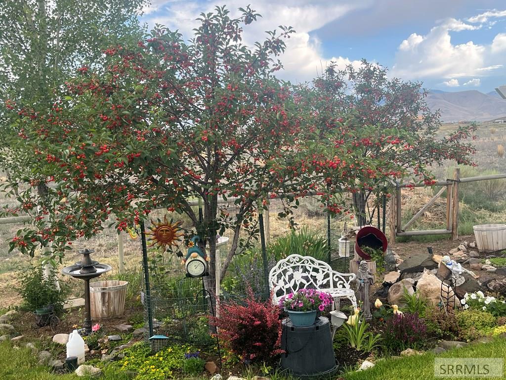 515 Homestead Trail Challis, ID 83226 - Photo 70 of 81
