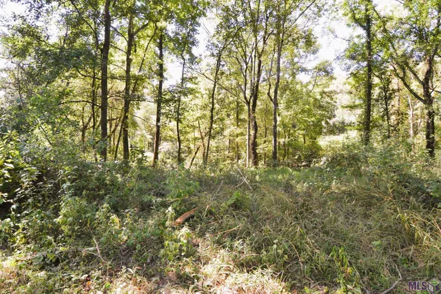 $500,000 | 8225 Tunica Trace, St. Francisville, LA 70775