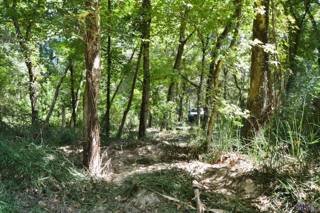 $500,000 | 8225 Tunica Trace, St. Francisville, LA 70775