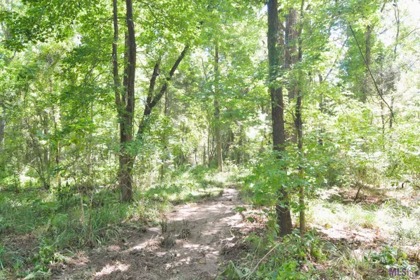 $500,000 | 8225 Tunica Trace, St. Francisville, LA 70775