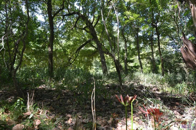 $500,000 | 8225 Tunica Trace, St. Francisville, LA 70775