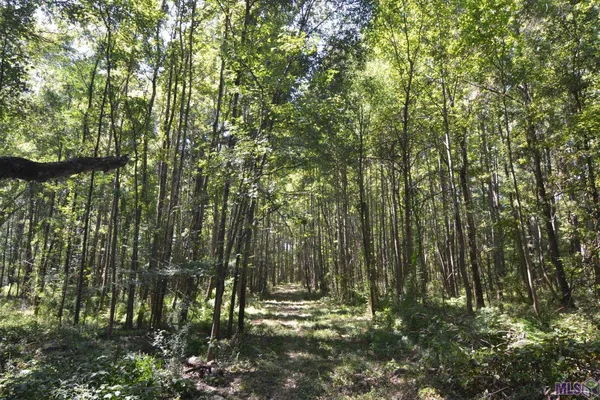 $500,000 | 8225 Tunica Trace, St. Francisville, LA 70775