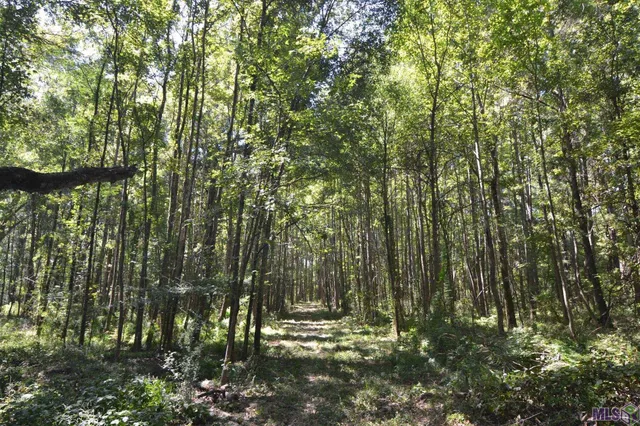 $500,000 | 8225 Tunica Trace, St. Francisville, LA 70775