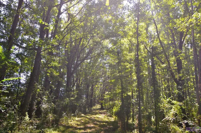 $500,000 | 8225 Tunica Trace, St. Francisville, LA 70775