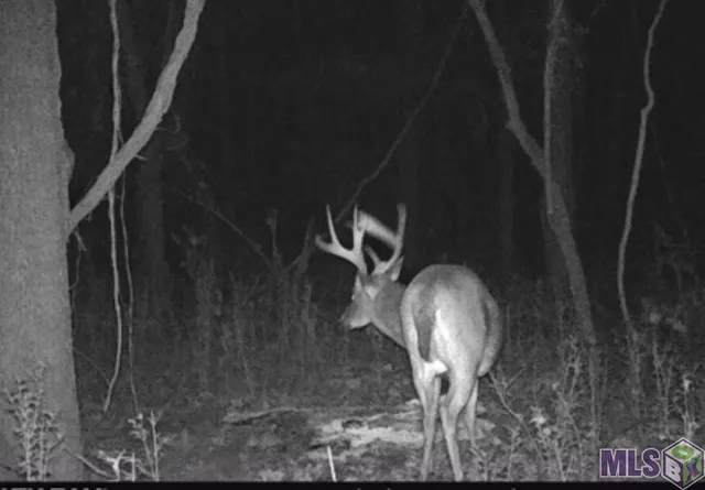 $500,000 | 8225 Tunica Trace, St. Francisville, LA 70775