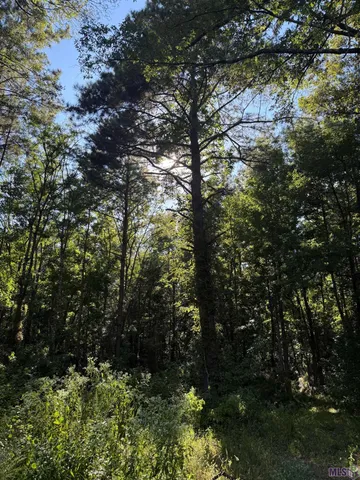 $500,000 | 8225 Tunica Trace, St. Francisville, LA 70775