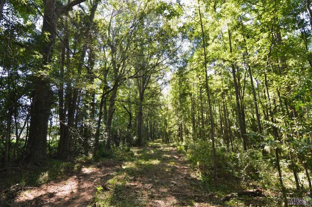 $500,000 | 8225 Tunica Trace, St. Francisville, LA 70775