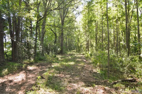 $500,000 | 8225 Tunica Trace, St. Francisville, LA 70775