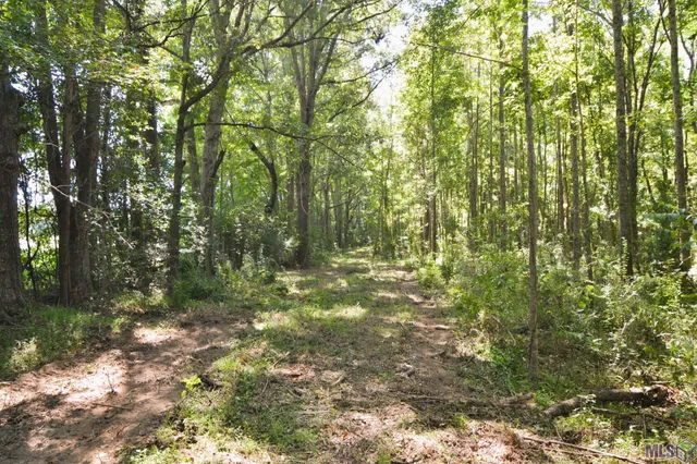 $500,000 | 8225 Tunica Trace, St. Francisville, LA 70775