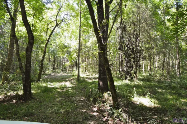 $500,000 | 8225 Tunica Trace, St. Francisville, LA 70775