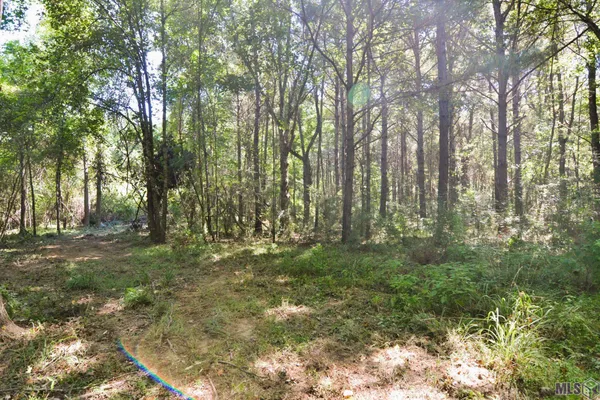 $500,000 | 8225 Tunica Trace, St. Francisville, LA 70775