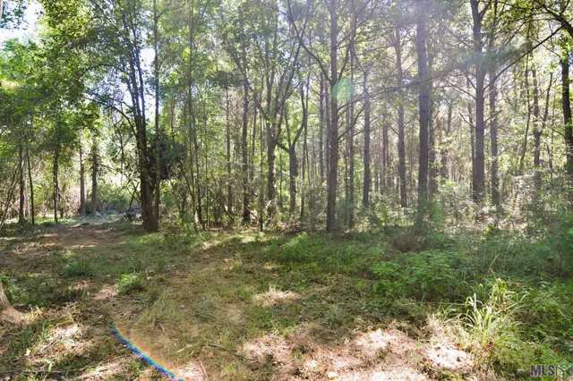 $500,000 | 8225 Tunica Trace, St. Francisville, LA 70775