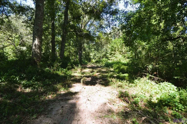 $500,000 | 8225 Tunica Trace, St. Francisville, LA 70775