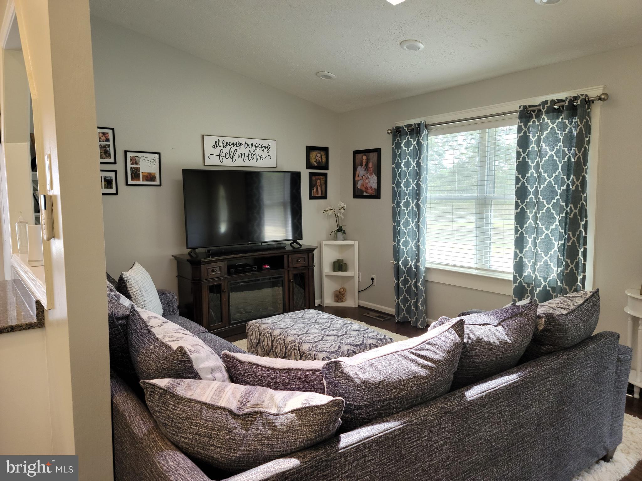 14335 Snake Castle Road Sumerduck, VA 22742 - Photo 9 of 20 Living Room w/vaulted ceiling and skylight
