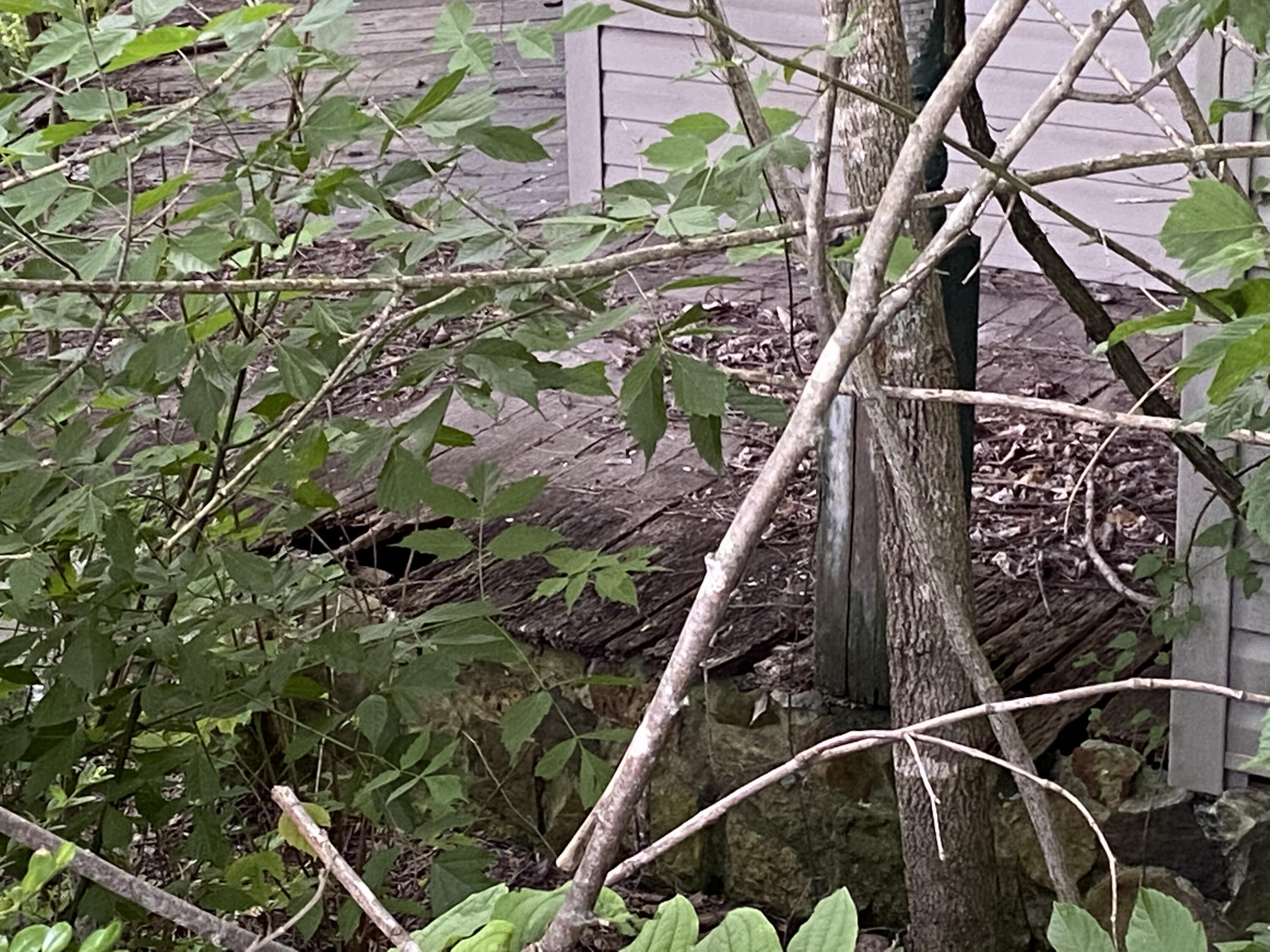 145 Cedar Branch Road Saltville, VA 24370 - Photo 12 of 64 02FE9BAC-9AD1-4838-91F0-FCDB70C23EE2