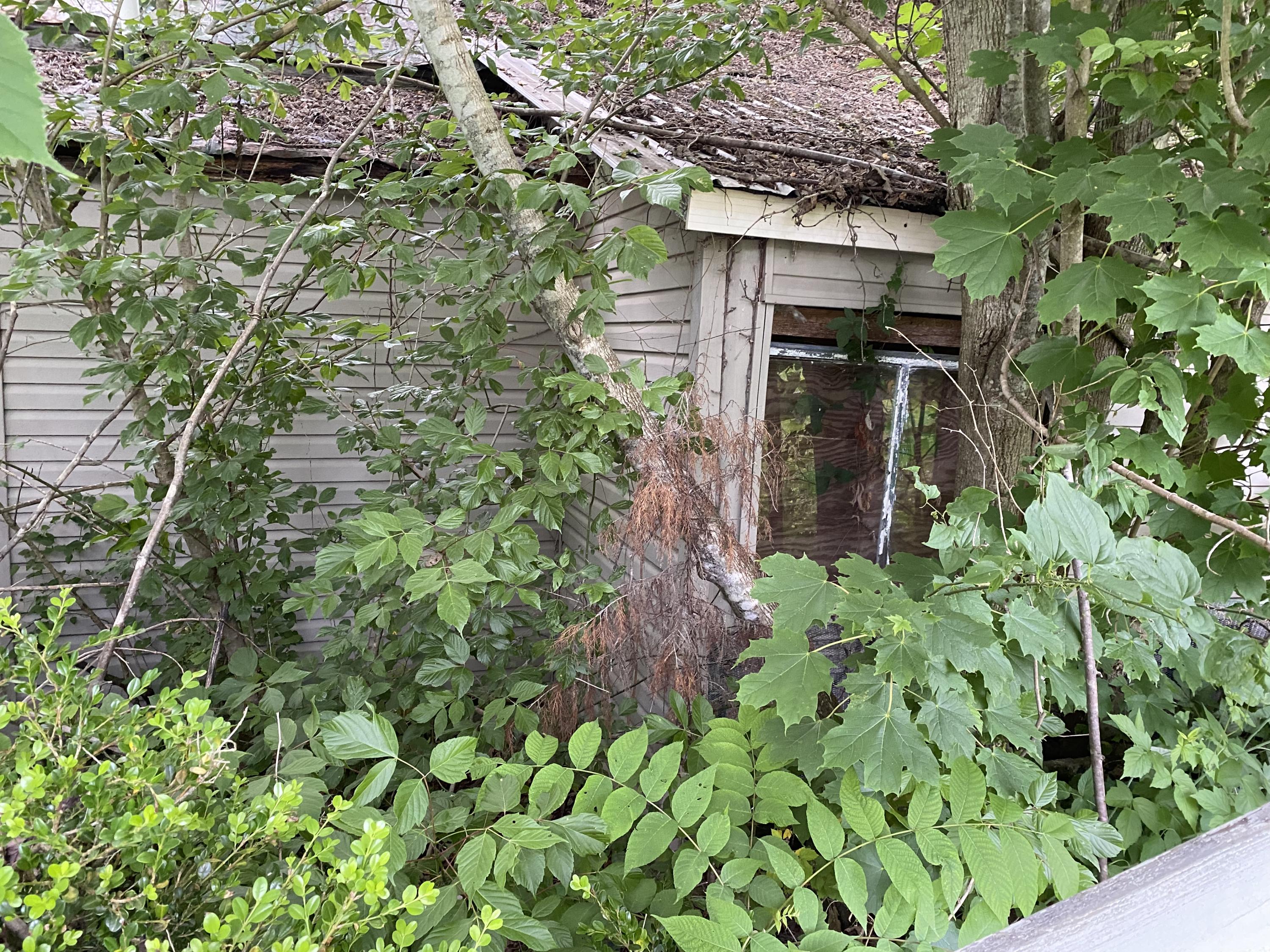 145 Cedar Branch Road Saltville, VA 24370 - Photo 13 of 64 2BB03D4B-6C13-4EF9-B72C-3D092BD050C2