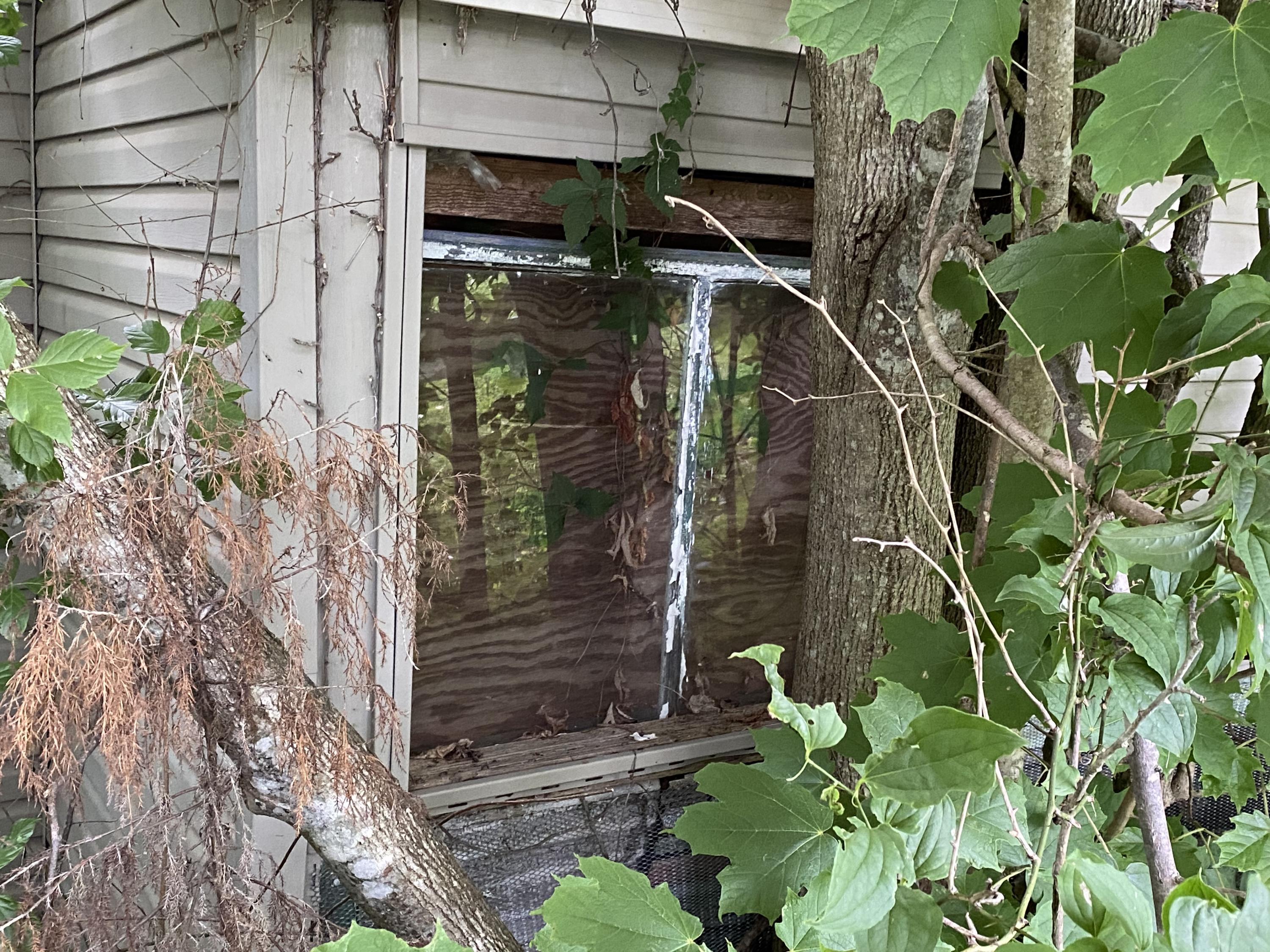 145 Cedar Branch Road Saltville, VA 24370 - Photo 14 of 64 6C7A702D-2B6B-4DAA-B033-1B453FB84471